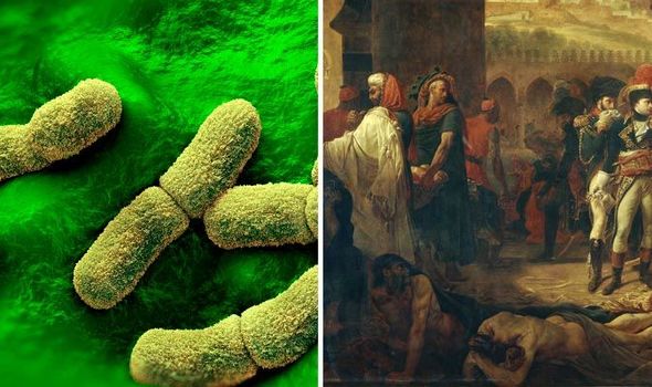 Plague deaths: Quarantine lifted after couple die of bubonic plague