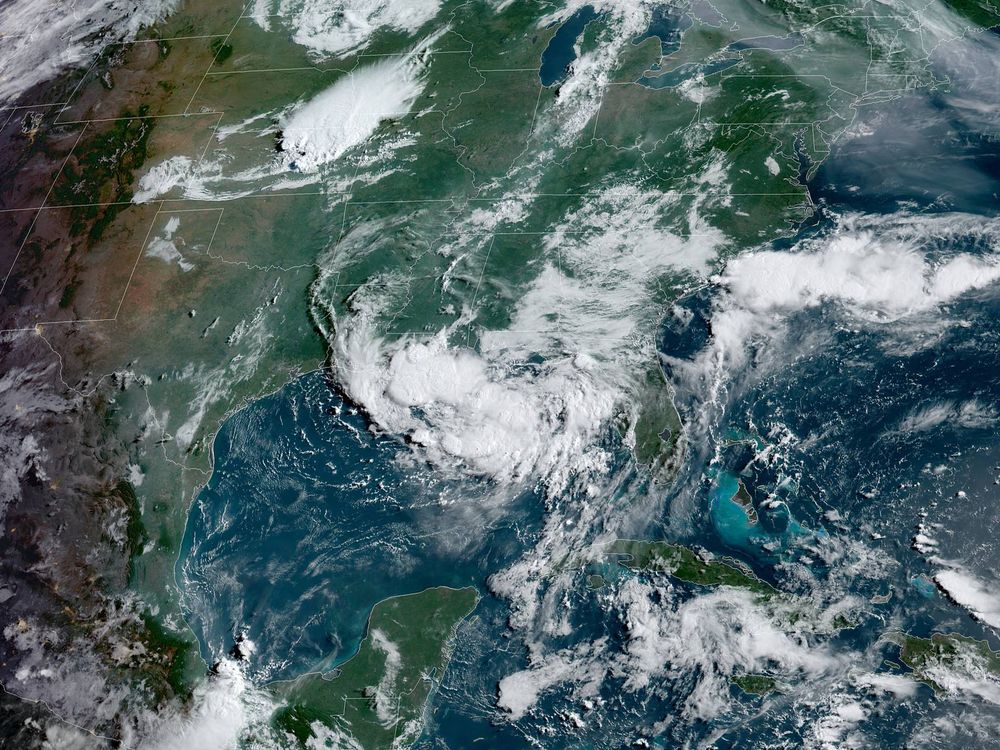 Tropical Storm Barry headed for the Gulf Coast, could drop up to 20 inches of rain