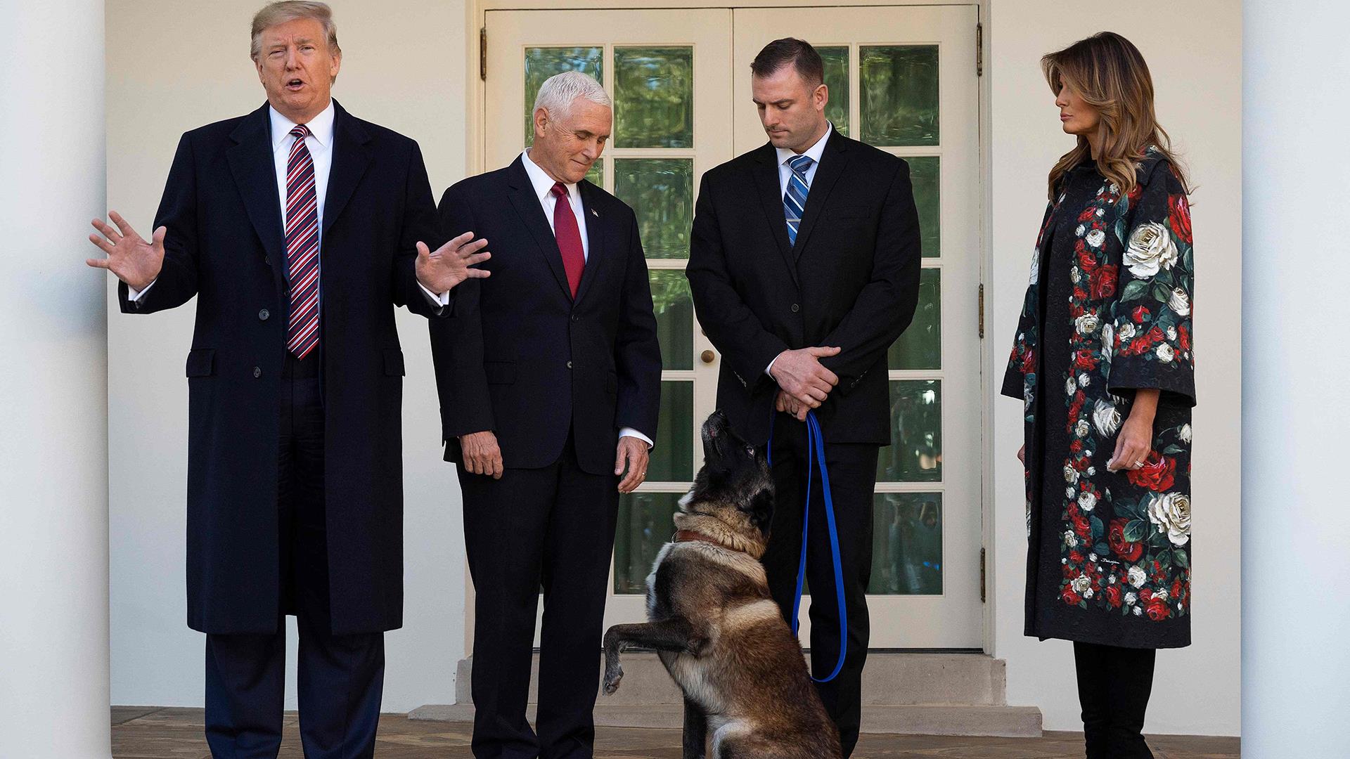 Trump decorates Conan, the dog who participated in the operation in which the Islamic State leader died
