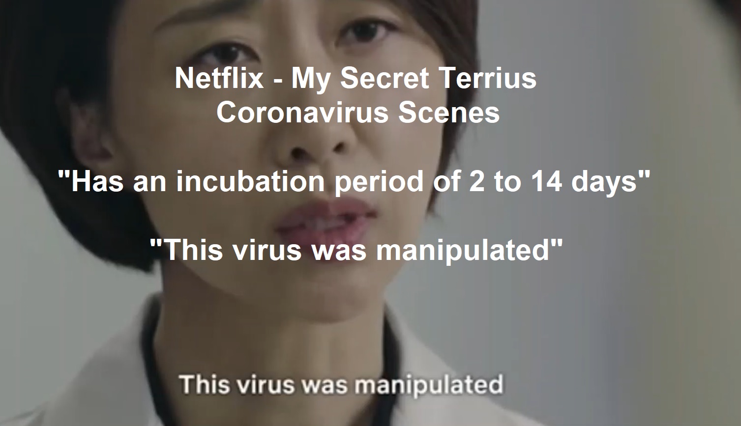 Netflix My Secret Terrius Coronavirus Scene