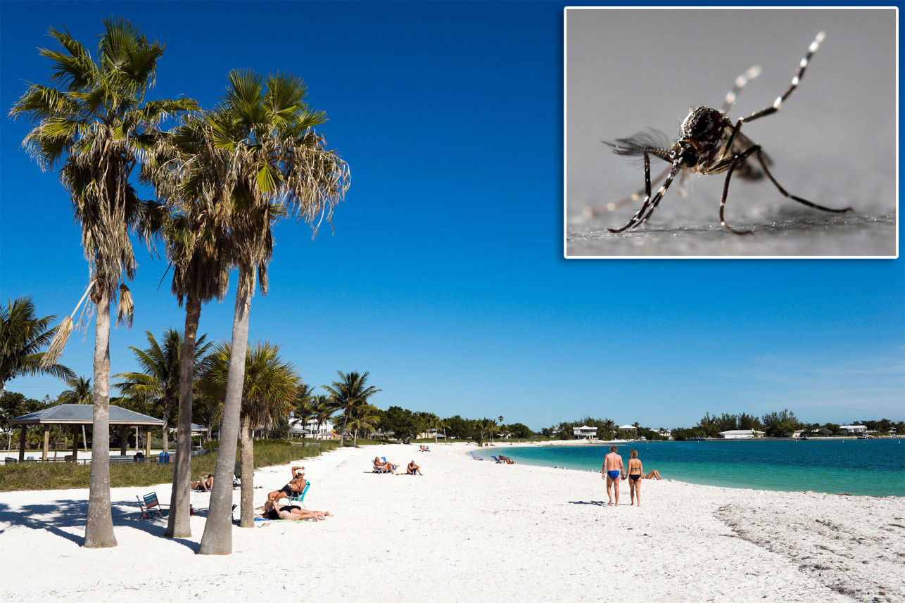 Thousands of genetically modified mosquitoes being released in Florida