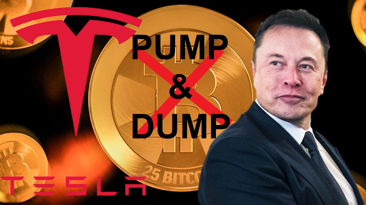 Elon Musk Bitcoin PUMP and DUMP