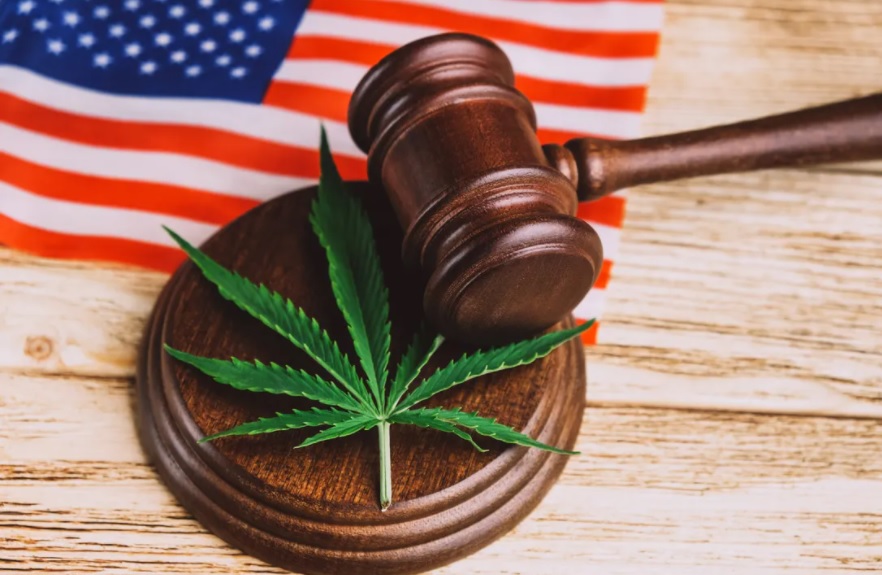 The House of Representatives approves legalizing Marijuana, again