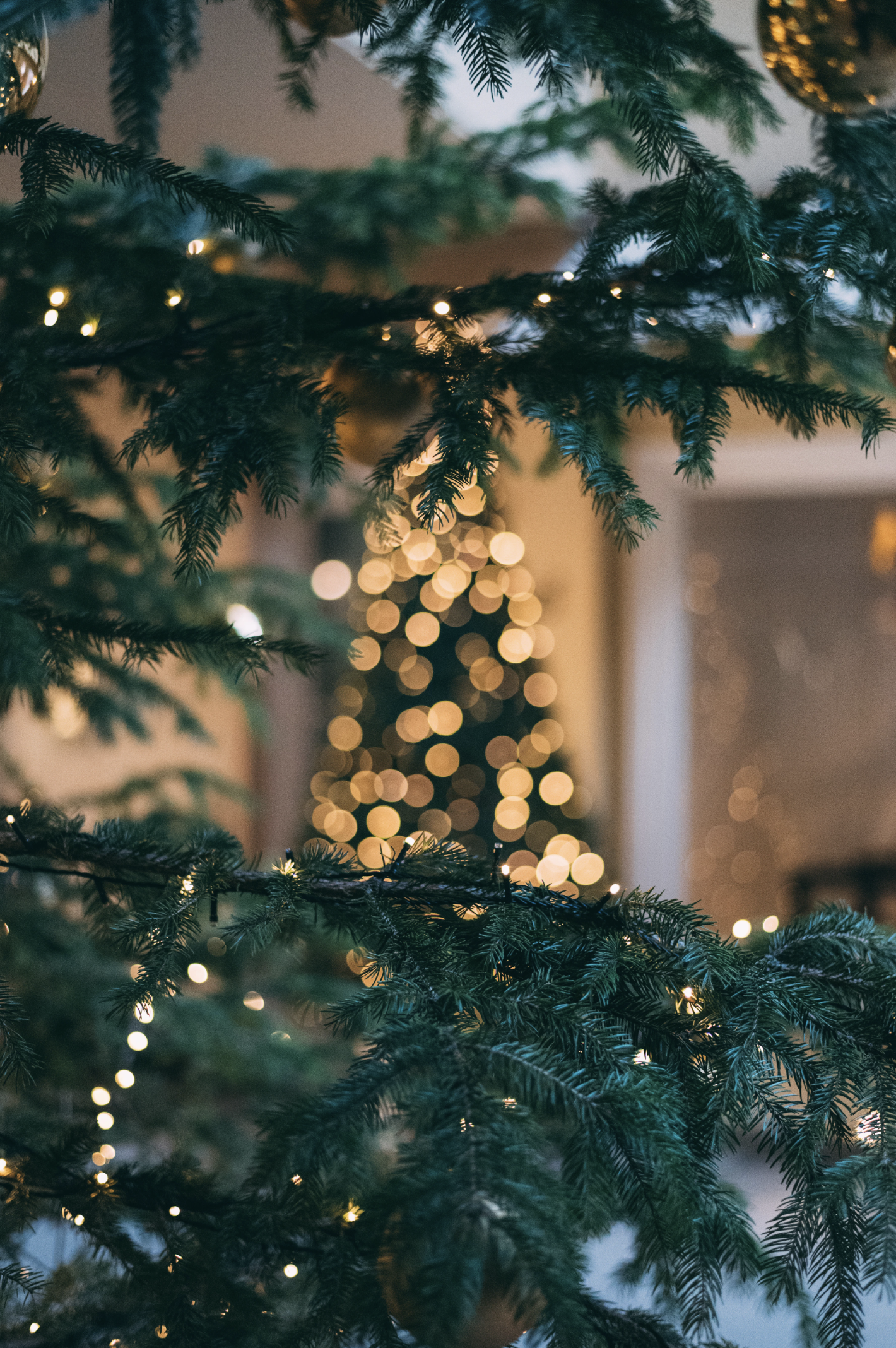 Natural vs. Artificial: Which Christmas Tree Option is Better for the Climate?